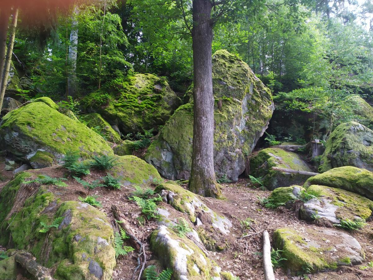 Ferienwohnung „Schau Ins Frankenland“ Burgpreppach Zewnętrze zdjęcie